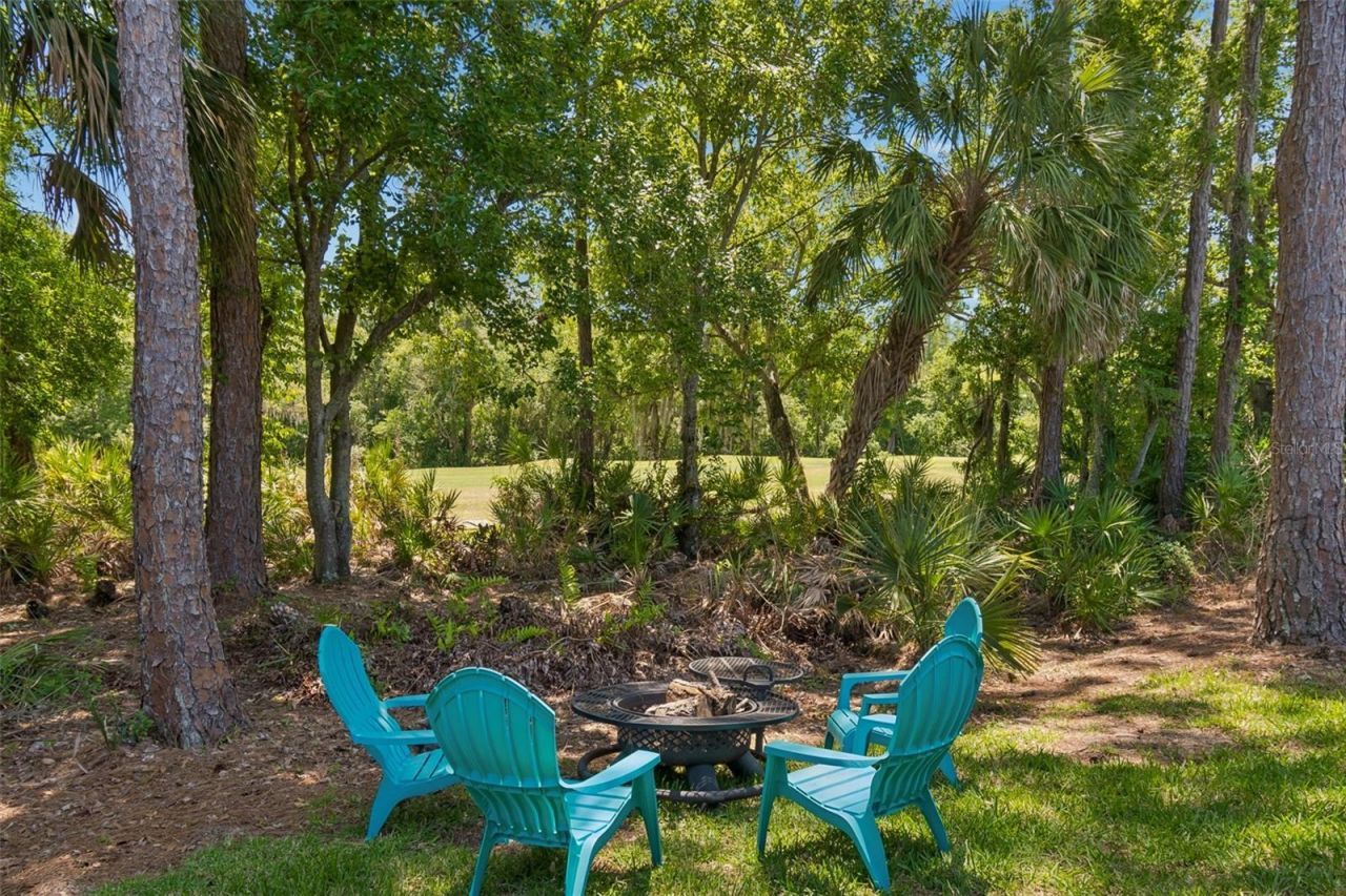 10423 Greenhedges Drive, Tampa, FL 33626 Photo