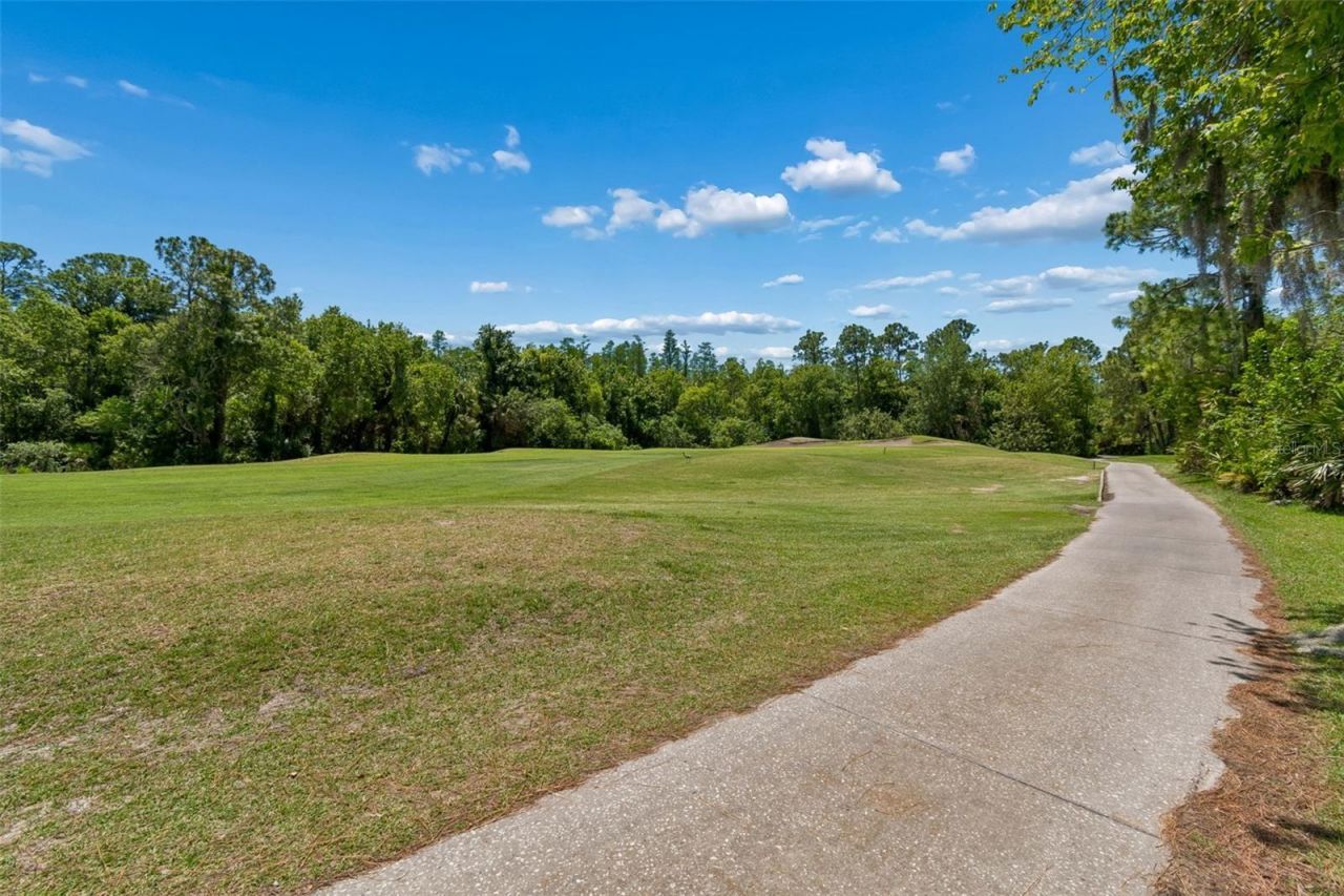10423 Greenhedges Drive, Tampa, FL 33626 Photo