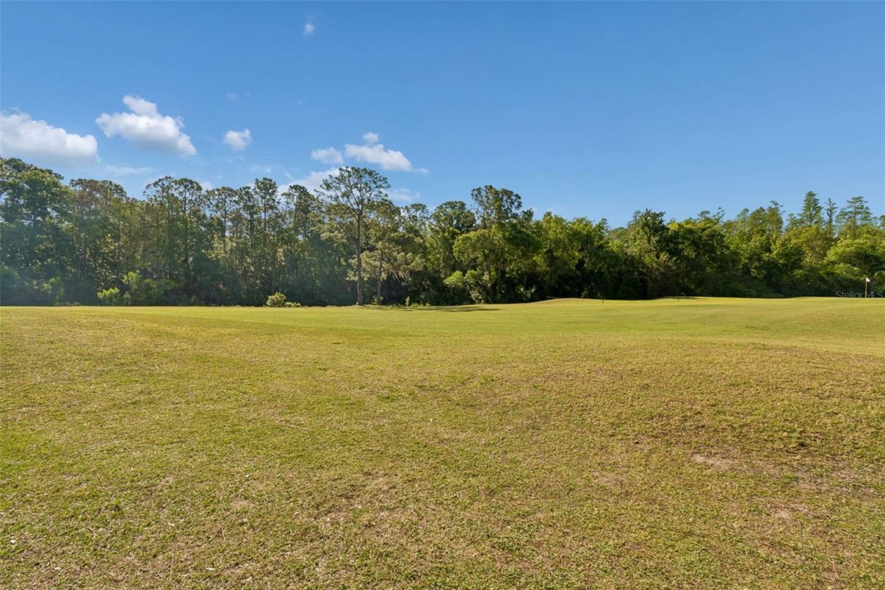 10423 Greenhedges Drive, Tampa, FL 33626 Photo