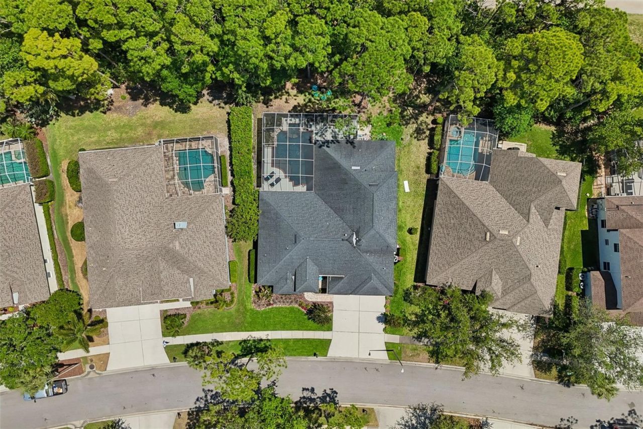 10423 Greenhedges Drive, Tampa, FL 33626 Photo