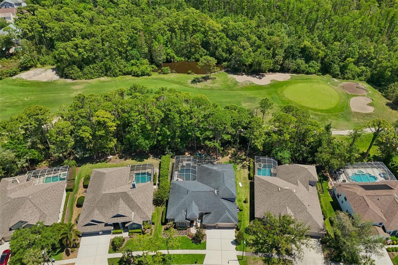 10423 Greenhedges Drive, Tampa, FL 33626 Photo