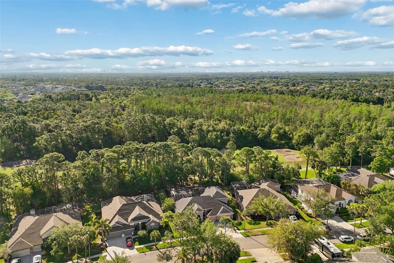 10423 Greenhedges Drive, Tampa, FL 33626 Photo