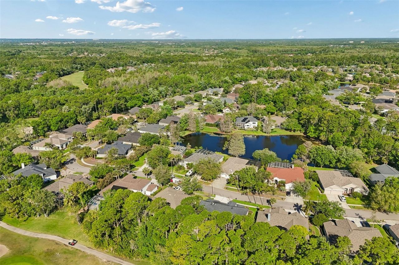 10423 Greenhedges Drive, Tampa, FL 33626 Photo