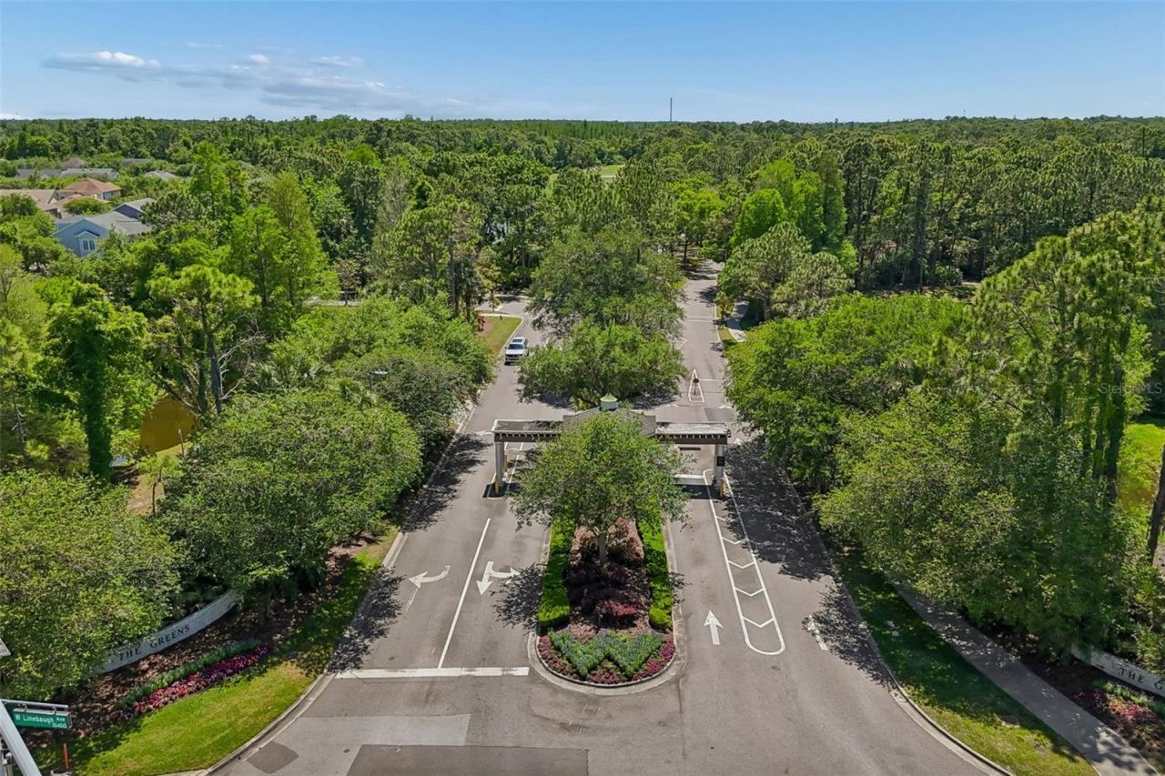 10423 Greenhedges Drive, Tampa, FL 33626 Photo