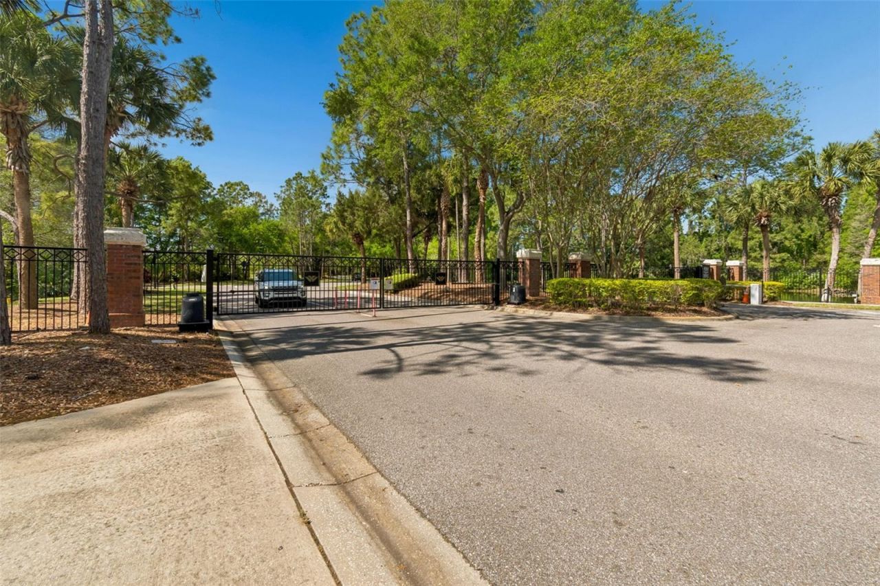 10423 Greenhedges Drive, Tampa, FL 33626 Photo