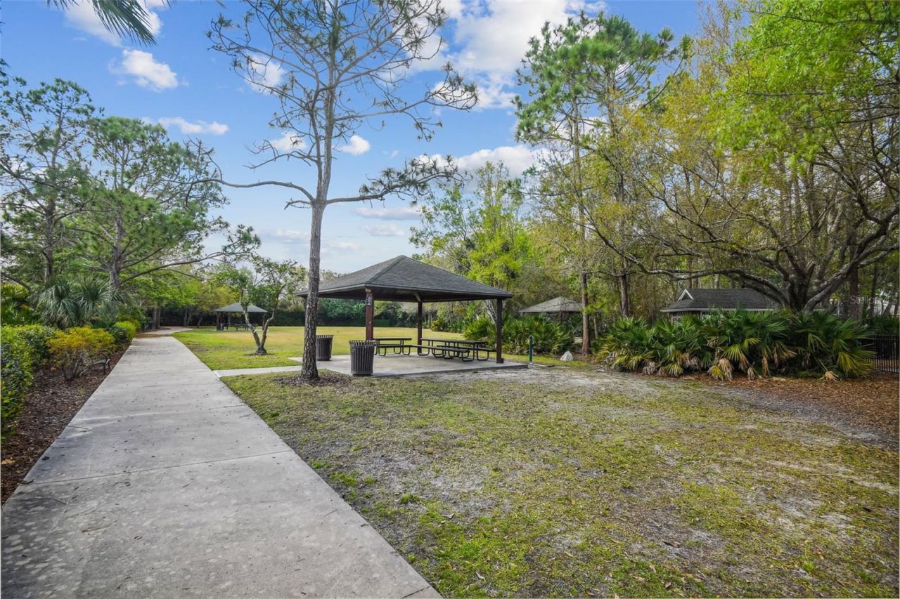 10423 Greenhedges Drive, Tampa, FL 33626 Photo