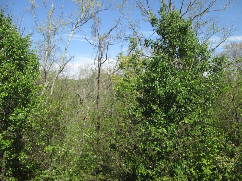 3988 Country Mill Ridge, Burlington, KY 41005 Photo 16