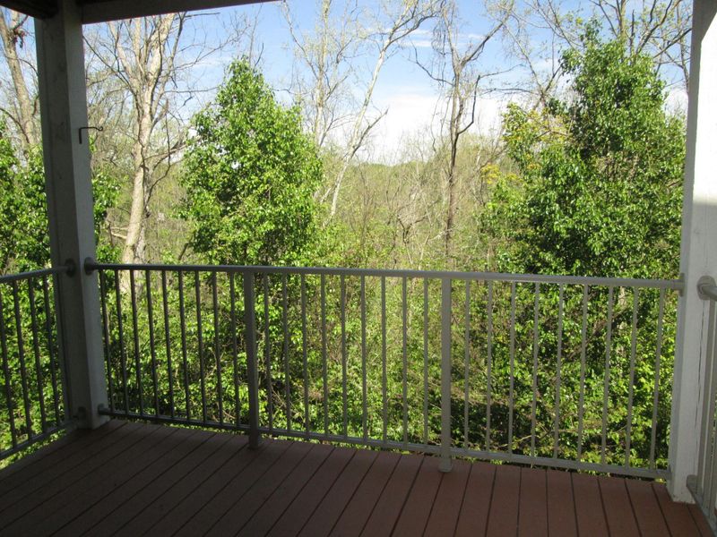 3988 Country Mill Ridge, Burlington, KY 41005 Photo 19