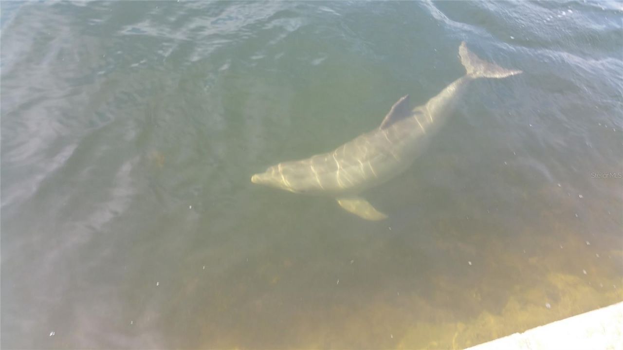 5915 Sea Ranch Drive , Unit 711, Hudson, FL 34667 Photo