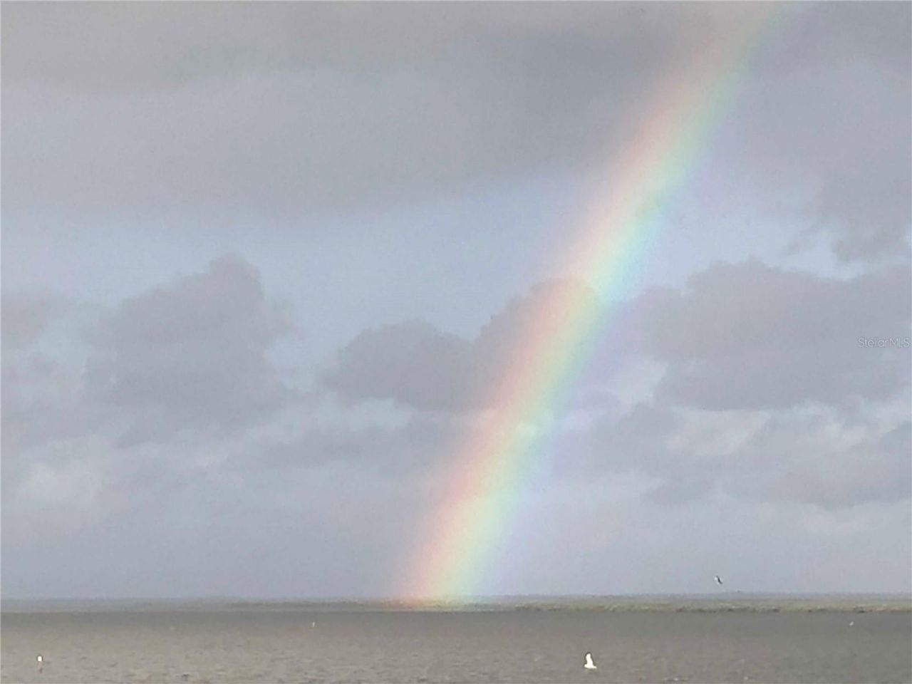 5915 Sea Ranch Drive , Unit 711, Hudson, FL 34667 Photo