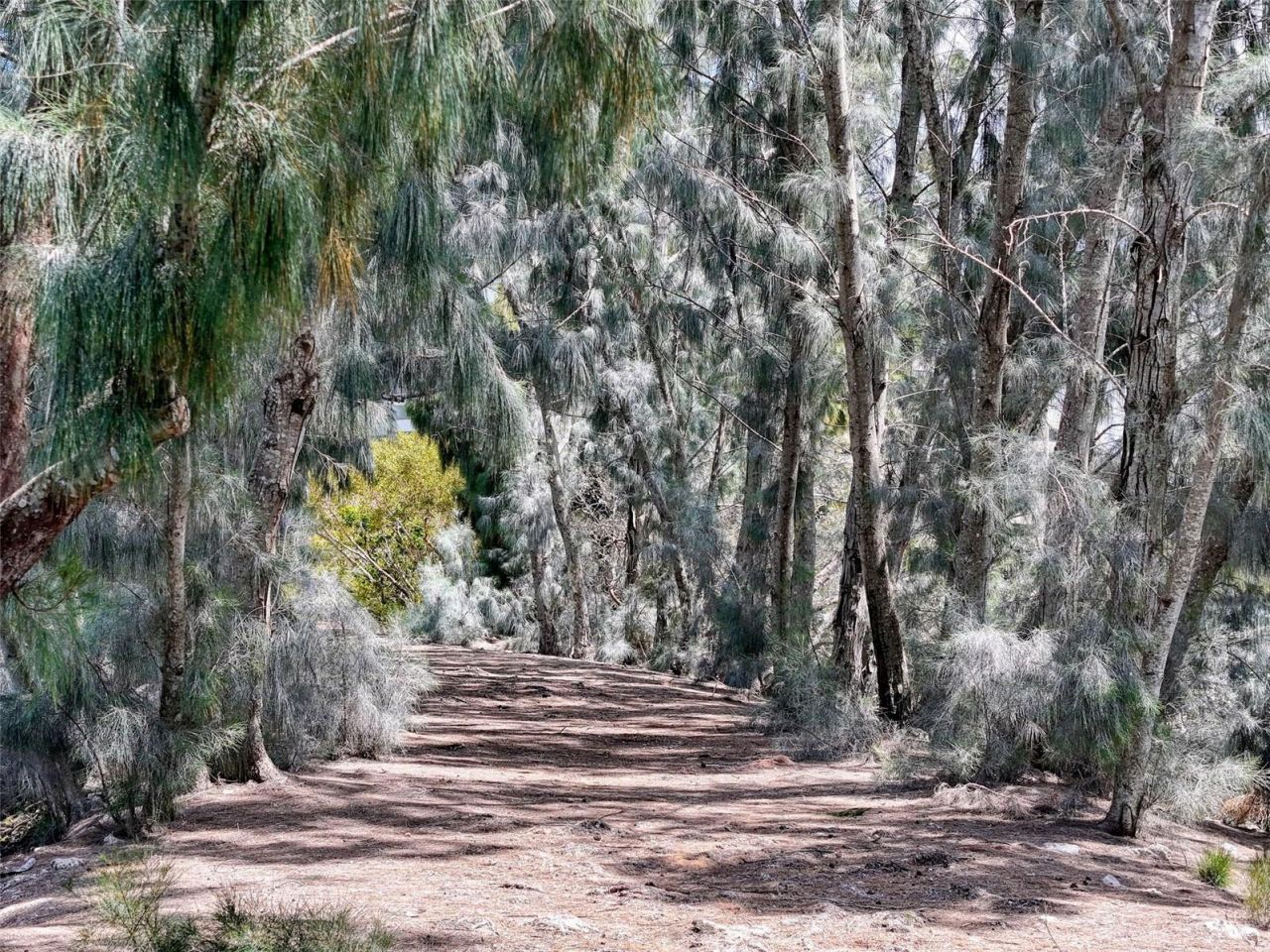 5915 Sea Ranch Drive , Unit 711, Hudson, FL 34667 Photo