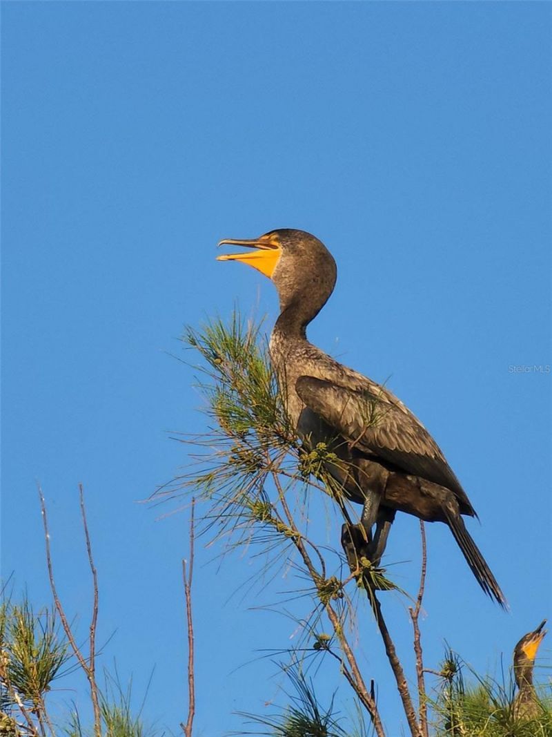 5915 Sea Ranch Drive , Unit 711, Hudson, FL 34667 Photo