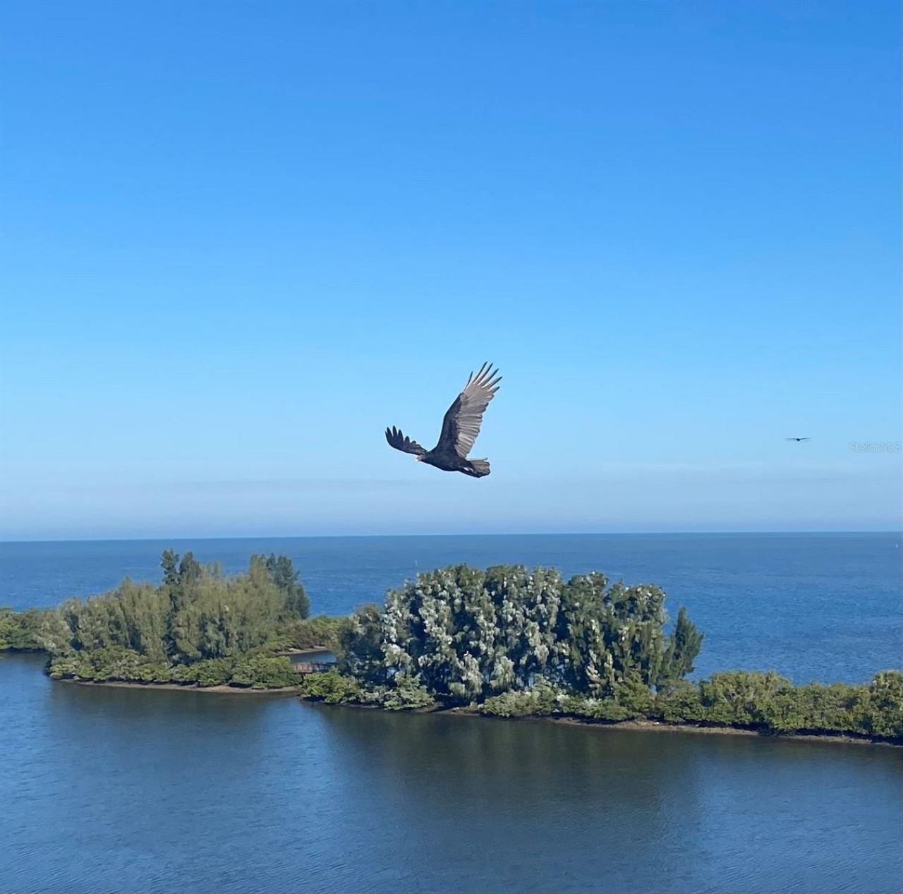 5915 Sea Ranch Drive , Unit 711, Hudson, FL 34667 Photo