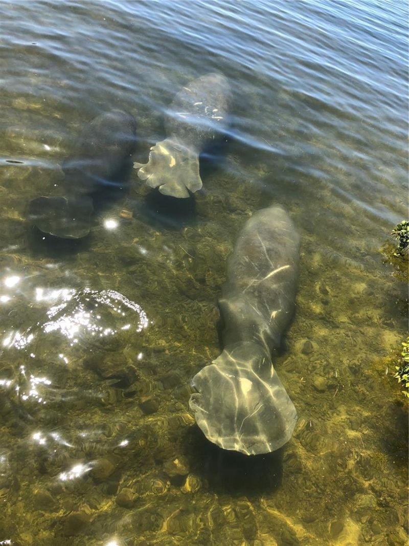 5915 Sea Ranch Drive , Unit 711, Hudson, FL 34667 Photo