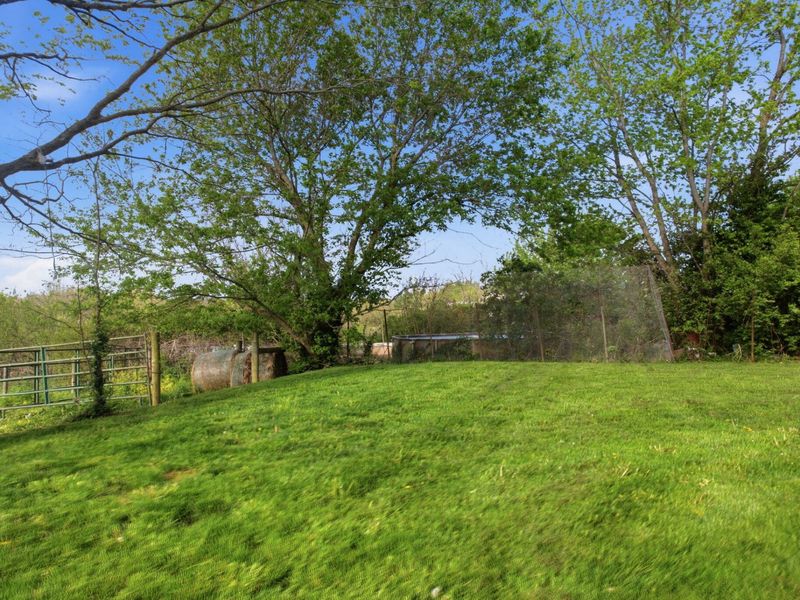 3349 Augusta-Berlin Road, Brooksville, KY 41004 Photo 33