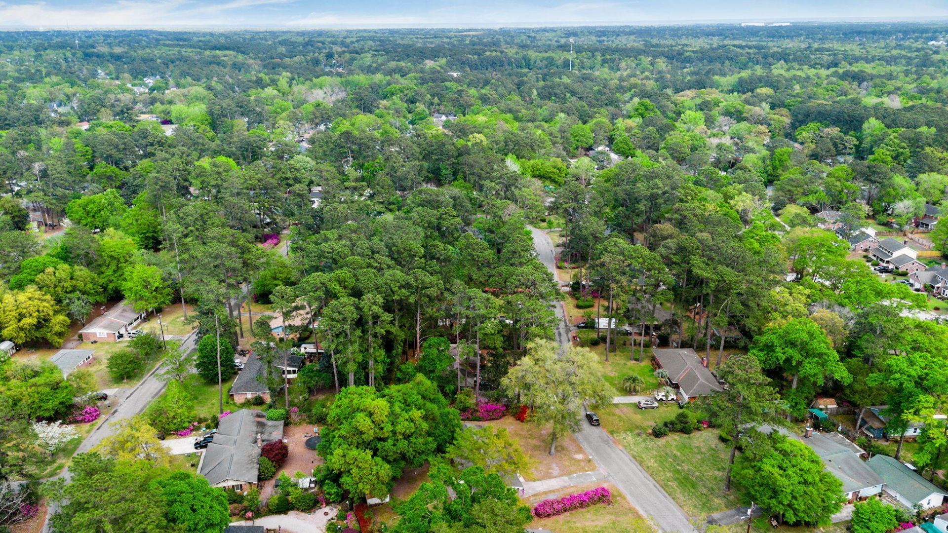 512 Dogwood Circle Photo 42