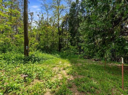 421 Brighton St, Grass Valley, CA 95945 Photo