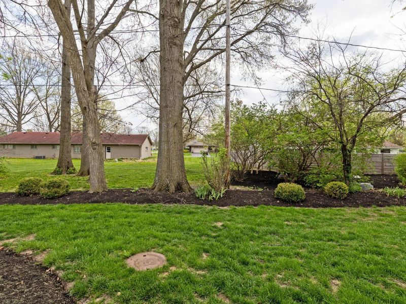 6696 Maplebrook Lane, Columbus, OH 43235 Photo 5