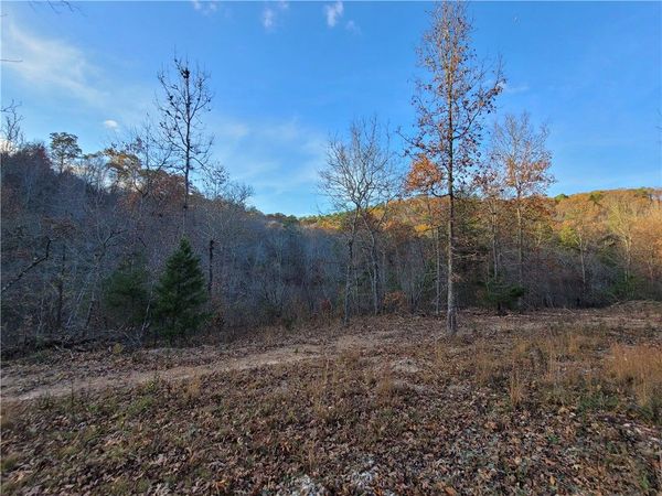 1272 Ramblewood Trail, Yellville, AR 72687