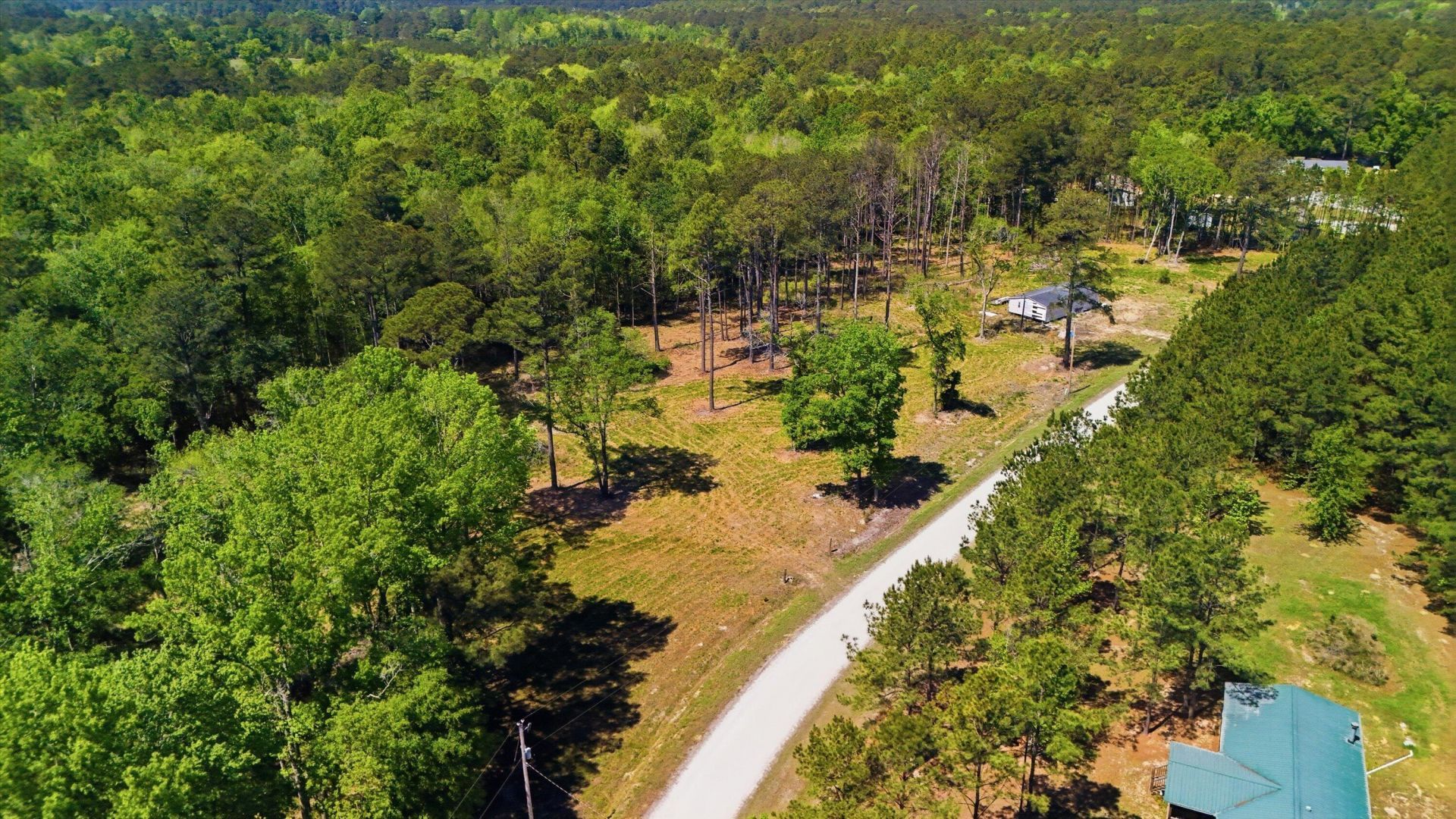 351 Sassafras Court Photo 11