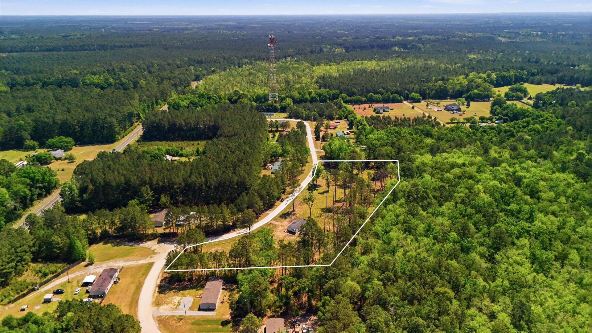 351 Sassafras Court Photo 13