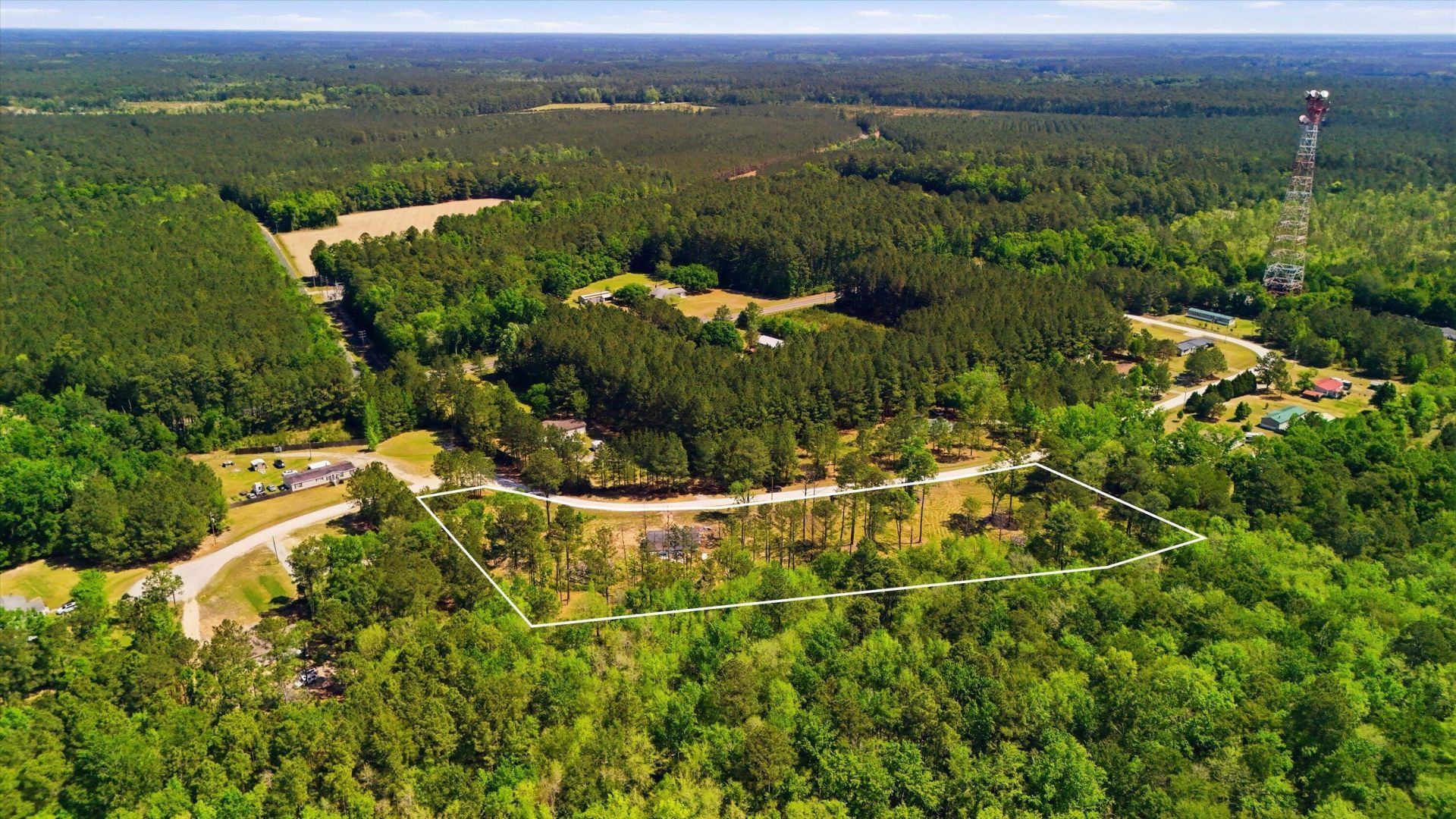 351 Sassafras Court Photo 14