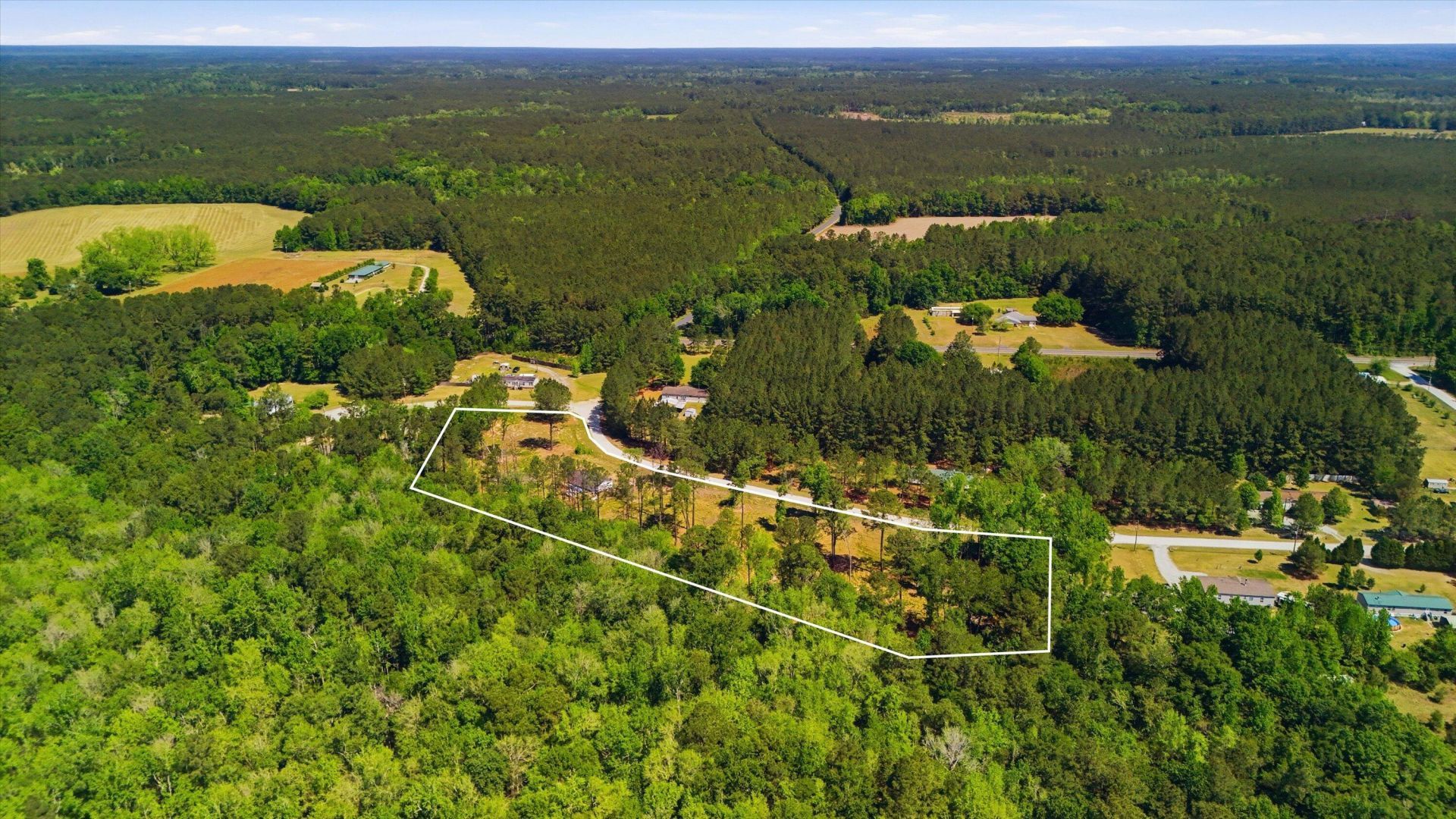 351 Sassafras Court Photo 15