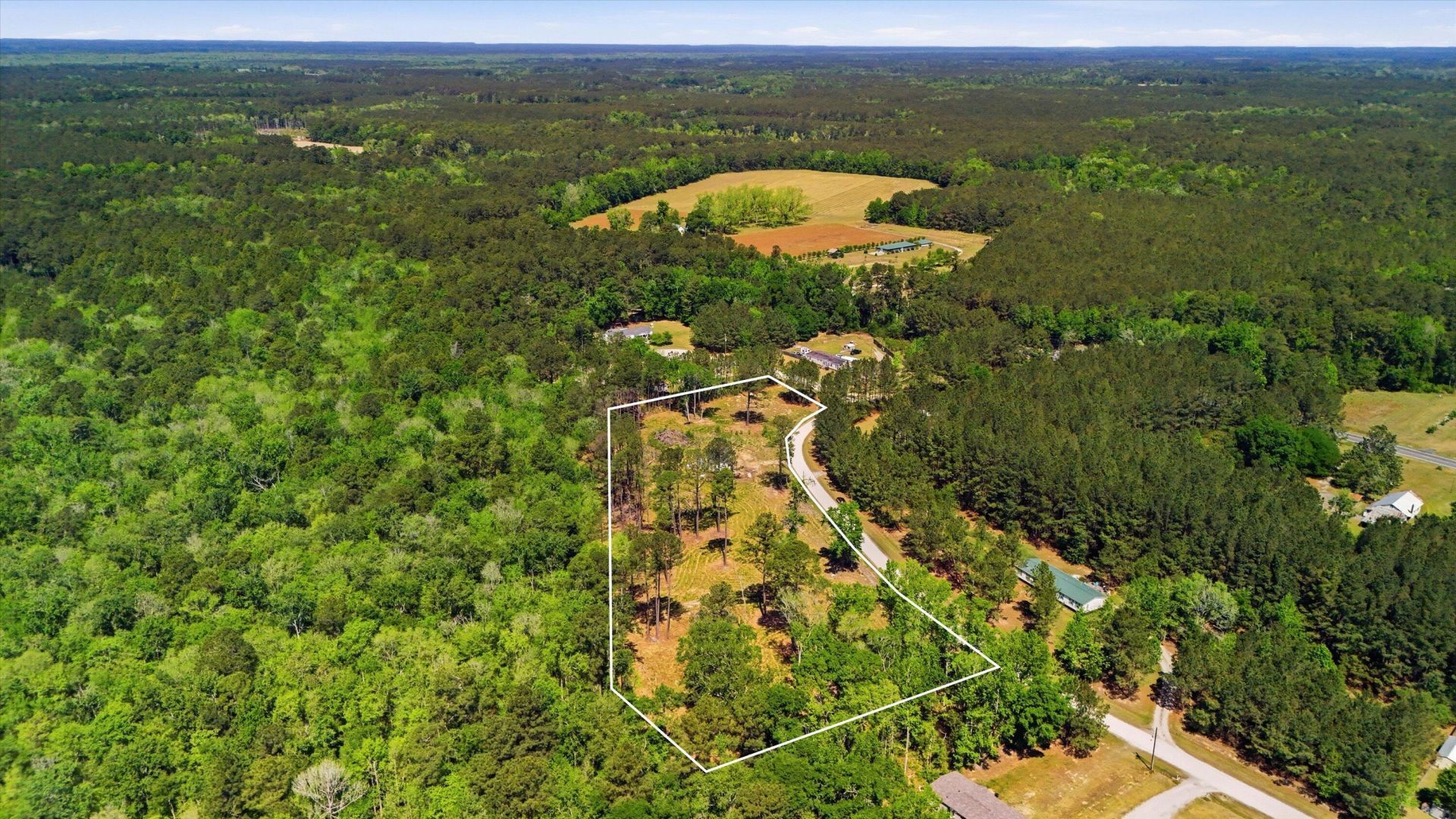 351 Sassafras Court Photo 16