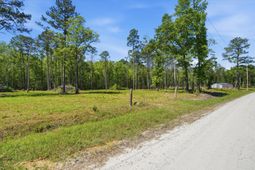 351 Sassafras Court photo 4