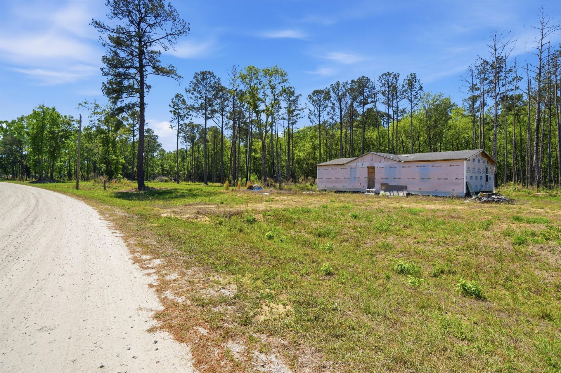 351 Sassafras Court Photo 5