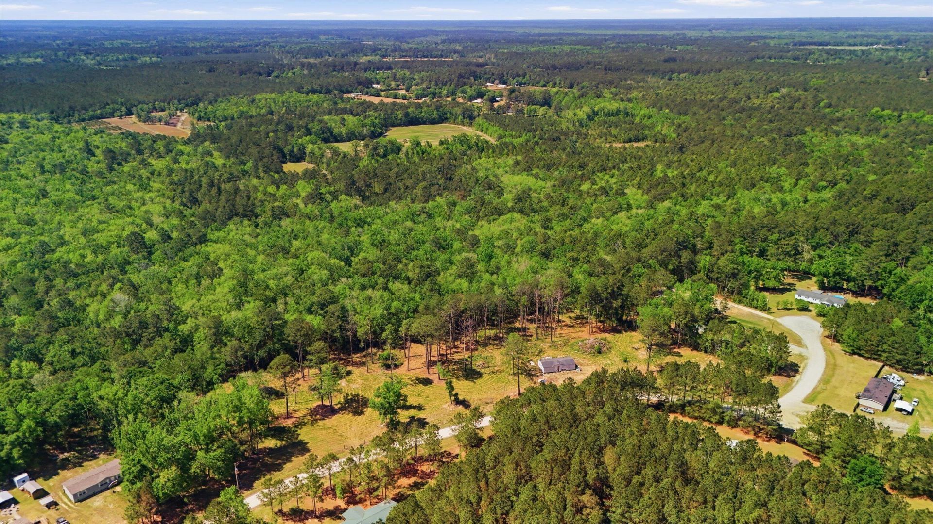 351 Sassafras Court Photo 7