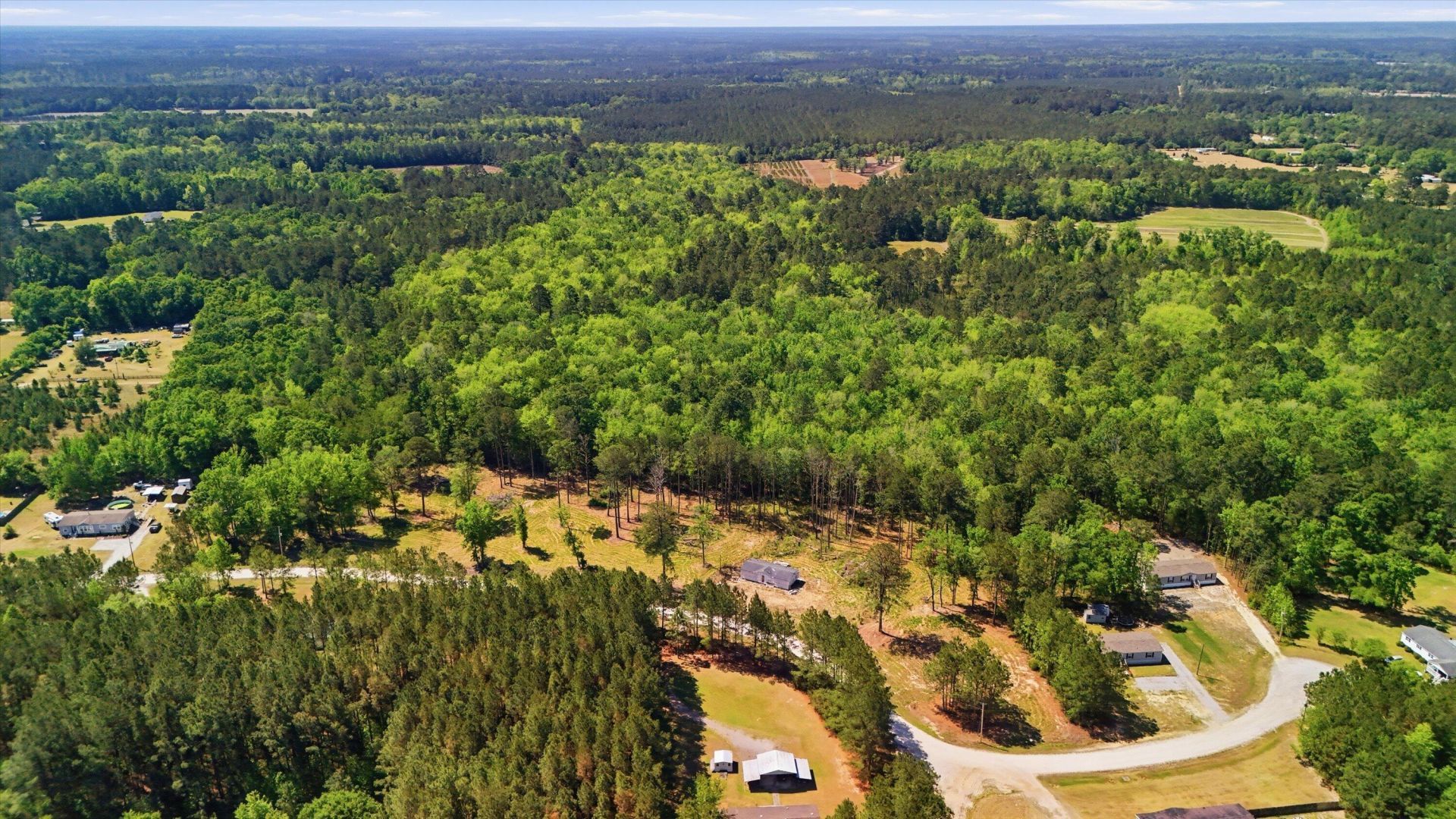 351 Sassafras Court Photo 8