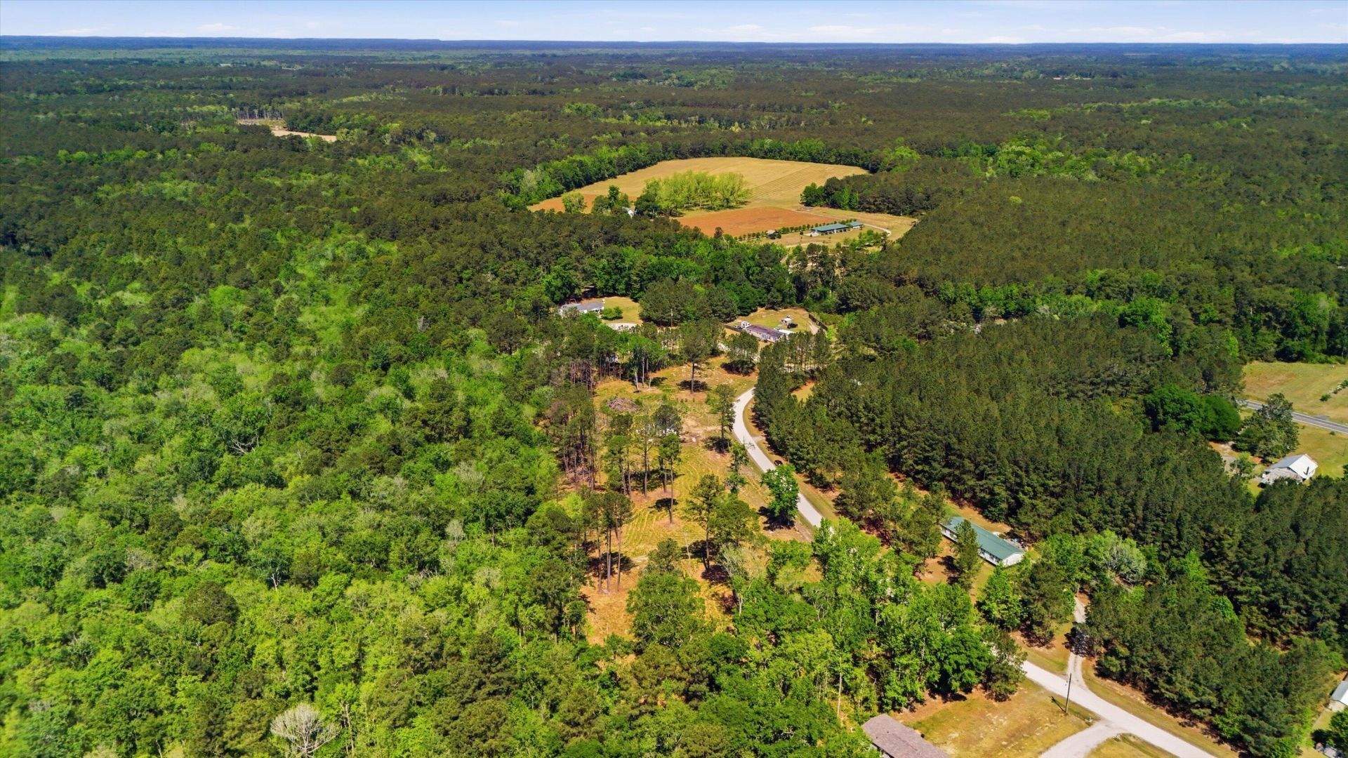 351 Sassafras Court Photo 9