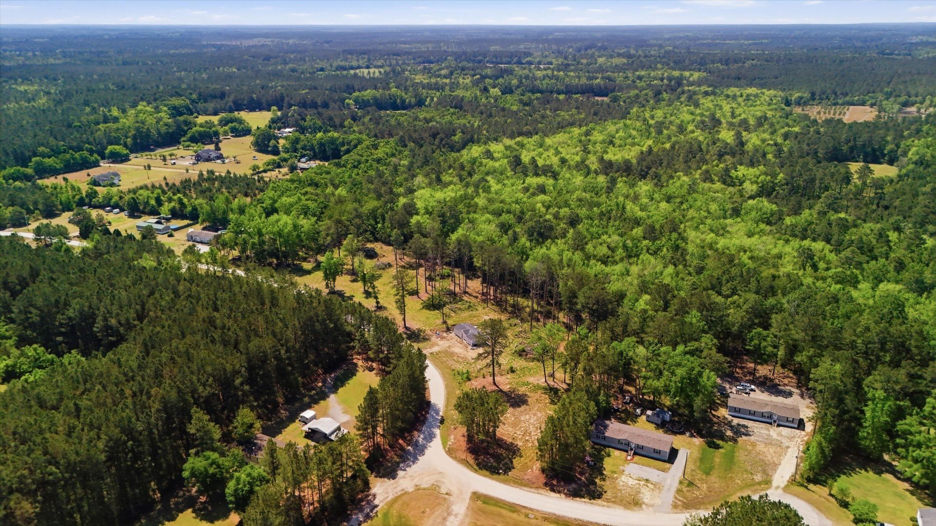 287 Sassafras Court Photo 11