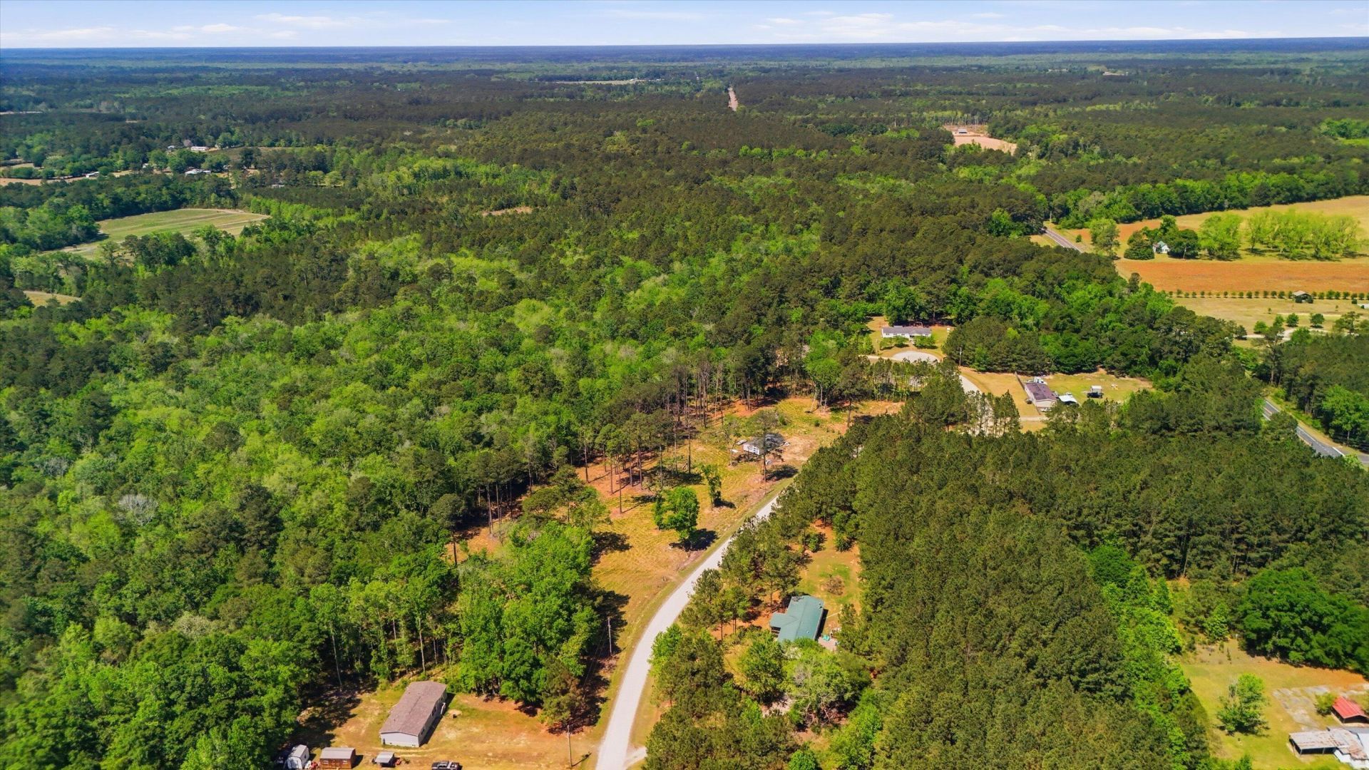 287 Sassafras Court Photo 13