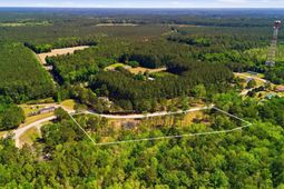 287 Sassafras Court photo 4