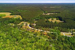 287 Sassafras Court photo 4