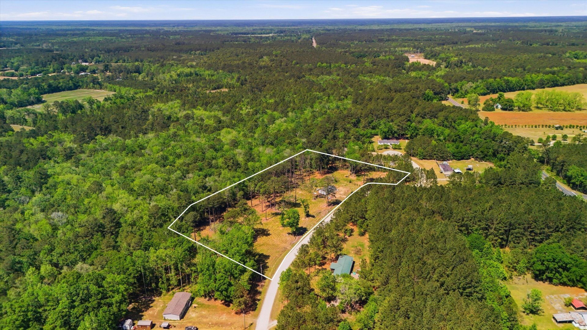 287 Sassafras Court Photo 7