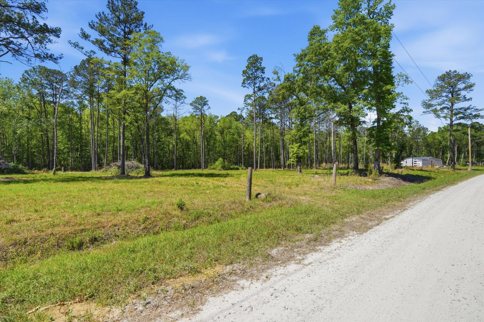 287 Sassafras Court Photo 8