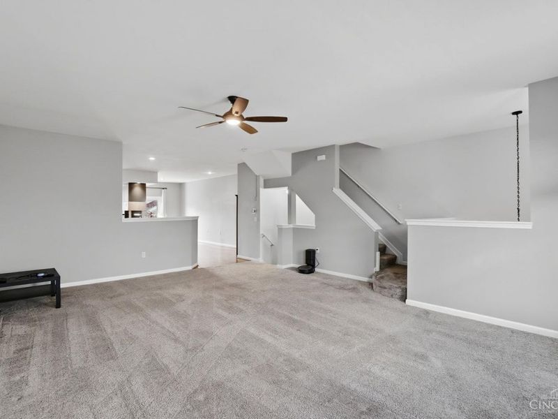 1113 Cutter Street, Cincinnati, OH 45203 Photo 8