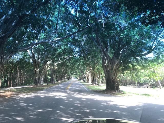 9122 SE Pomona Street, Hobe Sound, FL 33455 Photo