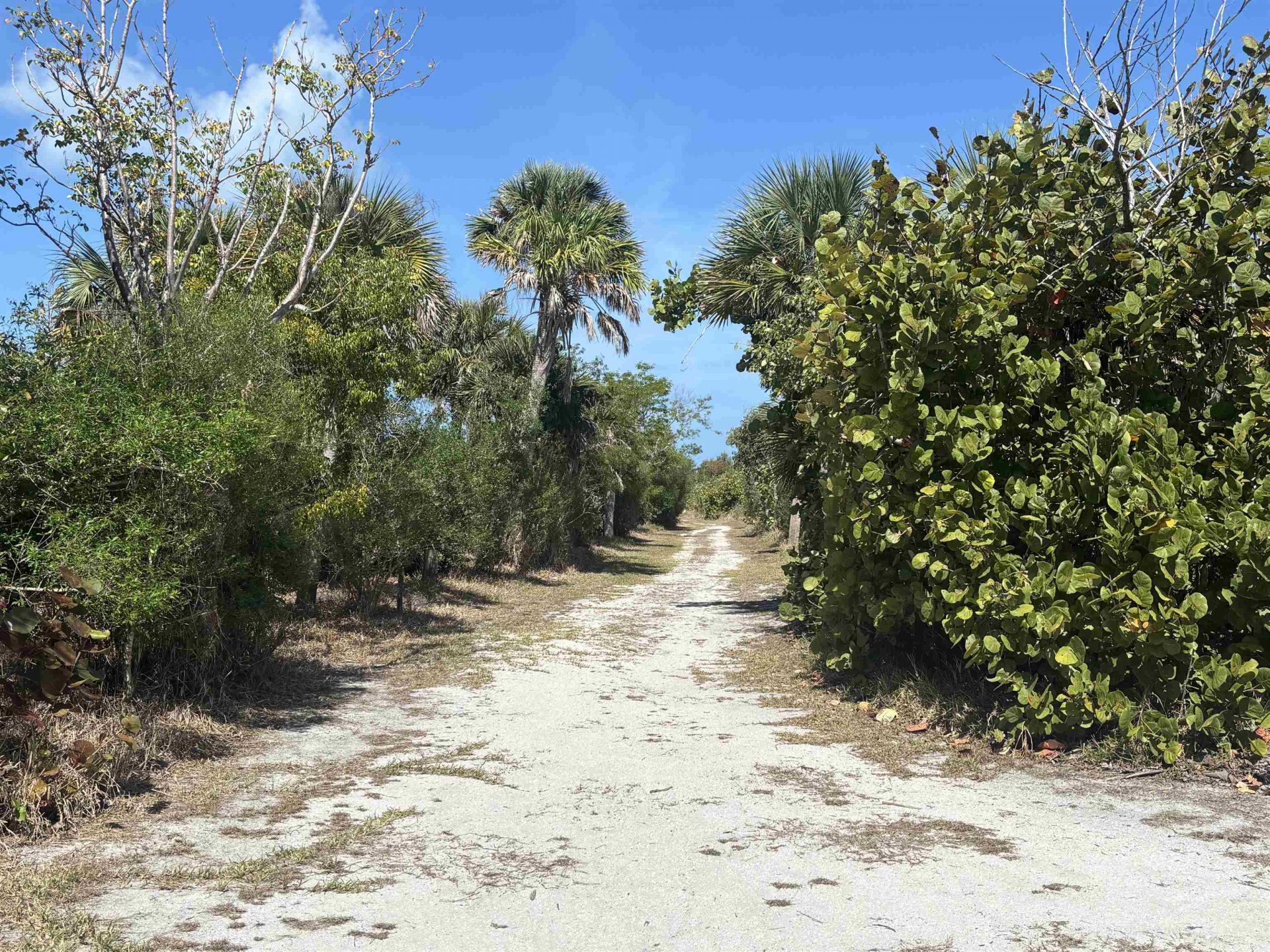 5135 Joewood Dr, Sanibel, FL 33957 Photo