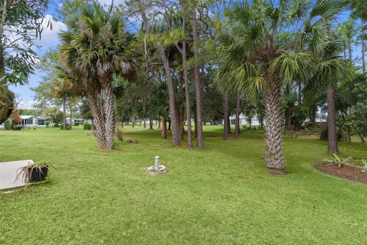 413 Westwood Drive, Leesburg, FL 34748 Photo