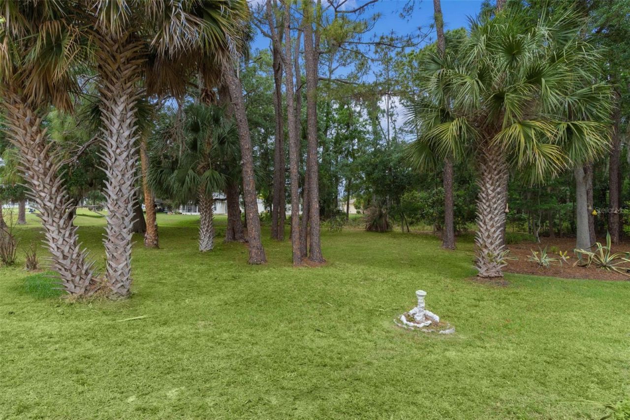 413 Westwood Drive, Leesburg, FL 34748 Photo