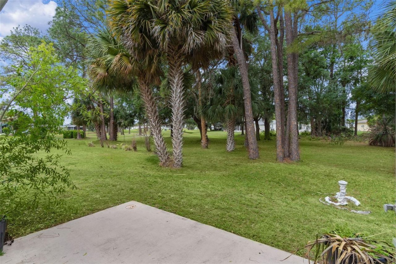 413 Westwood Drive, Leesburg, FL 34748 Photo