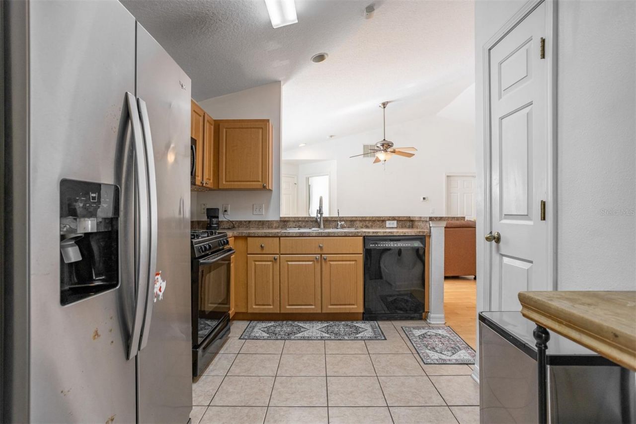 10401 Lakeside Vista Drive , Riverview, FL 33569 Photo