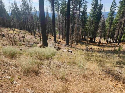 512 Eagle Crest Drive, Lake Almanor, CA 96020 Photo