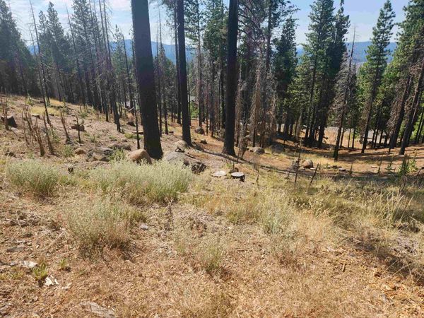 512 Eagle Crest Drive, Lake Almanor West, CA 96020