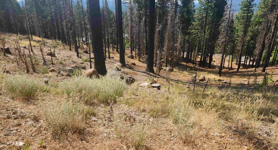 512 Eagle Crest Drive, Lake Almanor, CA 96020 Photo