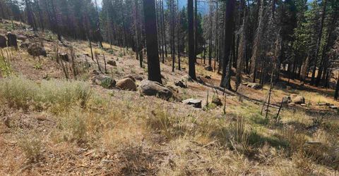 512 Eagle Crest Drive, Lake Almanor, CA 96020 Photo